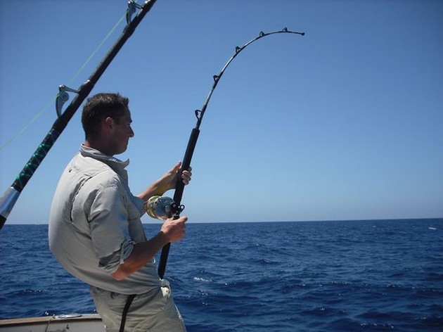 6 GROOTOOG TONIJNEN<br><br>Zoals al eerder gemeld vanmorgen - Cavalier & Blue Marlin Sport Fishing Gran Canaria