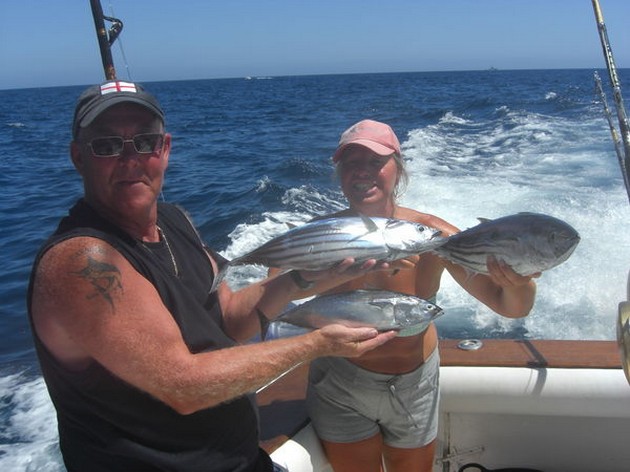 skipjack tuna Cavalier & Blue Marlin Sport Fishing Gran Canaria