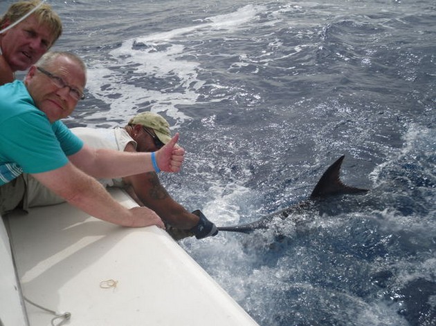 blue marlin Cavalier & Blue Marlin Sport Fishing Gran Canaria