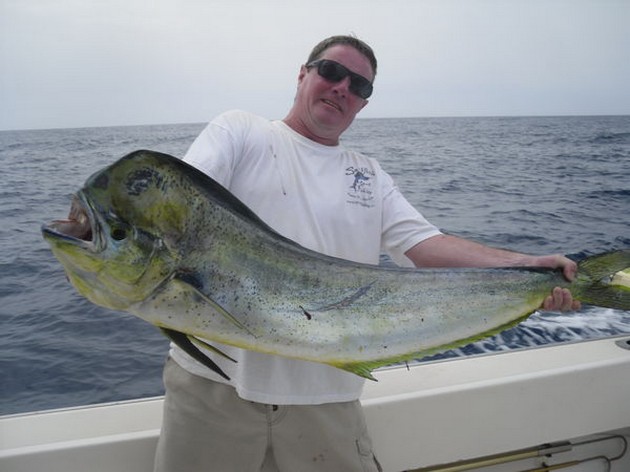 dorado Cavalier & Blue Marlin Sport Fishing Gran Canaria