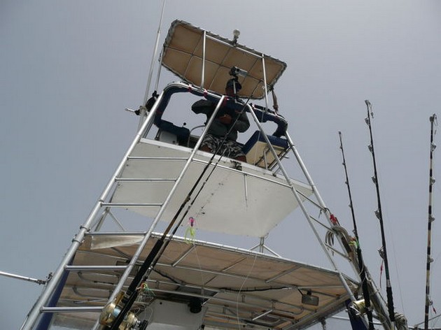  - Cavalier & Blue Marlin Sport Fishing Gran Canaria