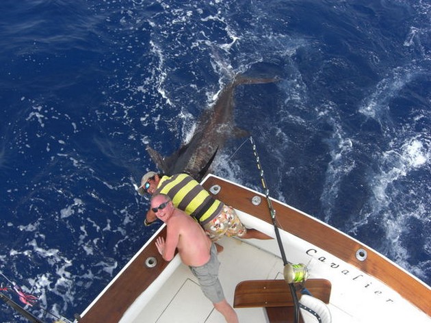 release me Cavalier & Blue Marlin Sport Fishing Gran Canaria
