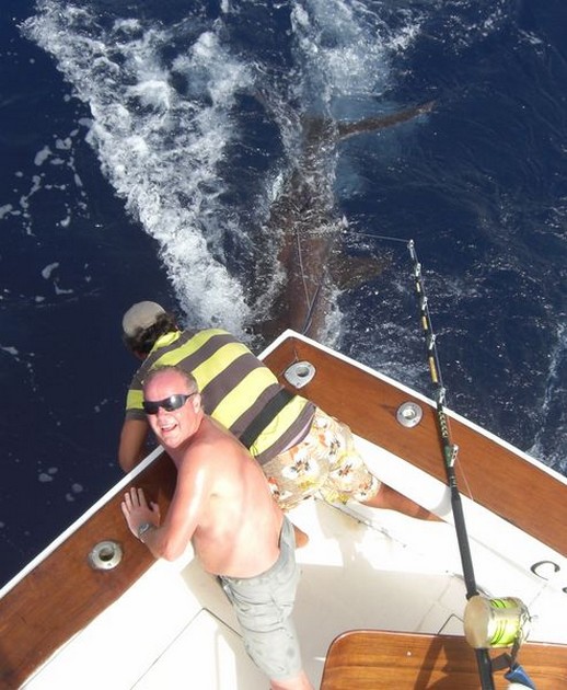 released Cavalier & Blue Marlin Sport Fishing Gran Canaria