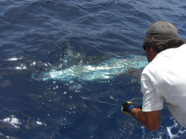 24st PUERTO RICO BIG GAME TOURNAMENT 2009 - DAY 1<br><br>Today - Cavalier & Blue Marlin Sport Fishing Gran Canaria