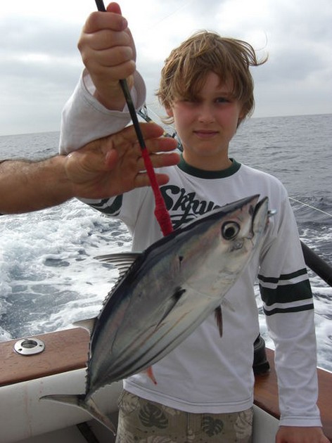 skipjack tuna Cavalier & Blue Marlin Sport Fishing Gran Canaria