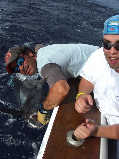 blue marlin Cavalier & Blue Marlin Sport Fishing Gran Canaria