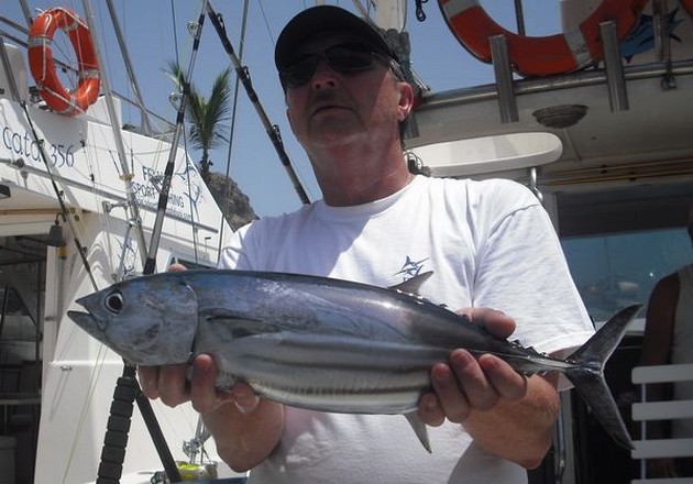 skipjack tuna Cavalier & Blue Marlin Sport Fishing Gran Canaria