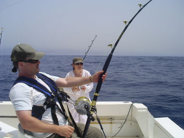 MARLIN AZUL Y PESCADO Un hermoso día en el norte - Cavalier & Blue Marlin Sport Fishing Gran Canaria
