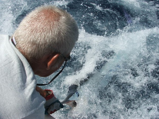 spearfish Cavalier & Blue Marlin Sport Fishing Gran Canaria