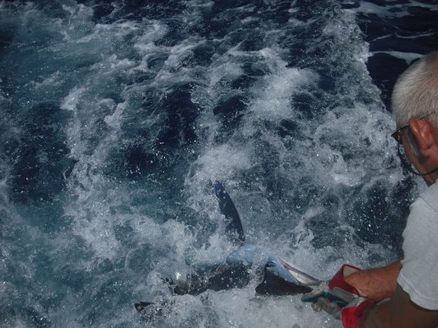 spearfish Cavalier & Blue Marlin Sport Fishing Gran Canaria