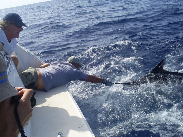 05/08 blue marlin Cavalier & Blue Marlin Sport Fishing Gran Canaria