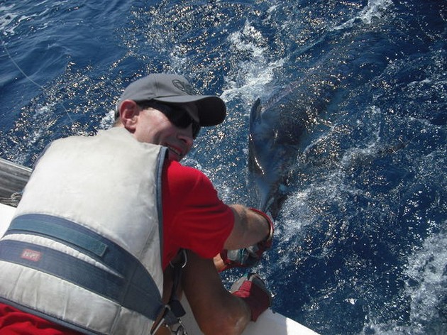 12/08 blue marlin Cavalier & Blue Marlin Sport Fishing Gran Canaria