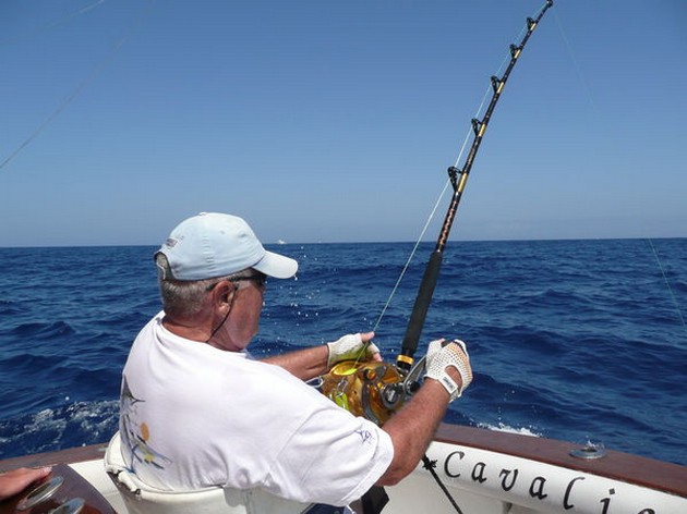 OTRA VEZ LANZADOS 2 MARLINS AZULES Ayer hubo - Cavalier & Blue Marlin Sport Fishing Gran Canaria