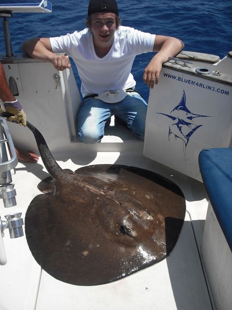 roughtail stingray Cavalier & Blue Marlin Sport Fishing Gran Canaria