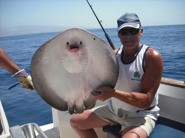 round stingray Cavalier & Blue Marlin Sport Fishing Gran Canaria