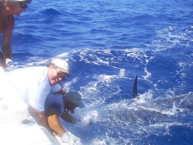 tag & release Cavalier & Blue Marlin Sport Fishing Gran Canaria