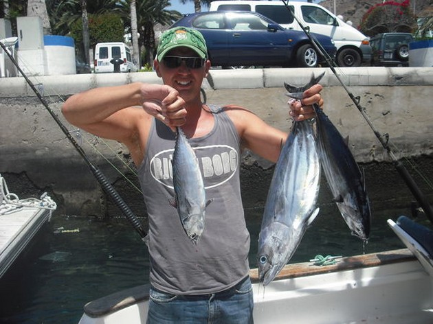 skipjack tuna Cavalier & Blue Marlin Sport Fishing Gran Canaria