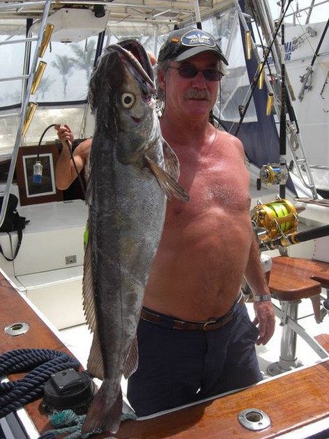 20/08 hake Cavalier & Blue Marlin Sport Fishing Gran Canaria