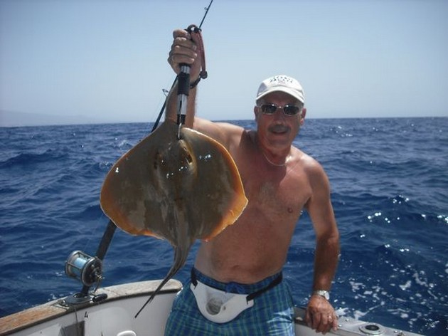 HAMMERHEAD SHARK 45 KILO Under de senaste två dagarna, - Cavalier & Blue Marlin Sport Fishing Gran Canaria
