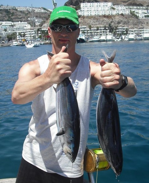 26/08 skipjack tuna Cavalier & Blue Marlin Sport Fishing Gran Canaria