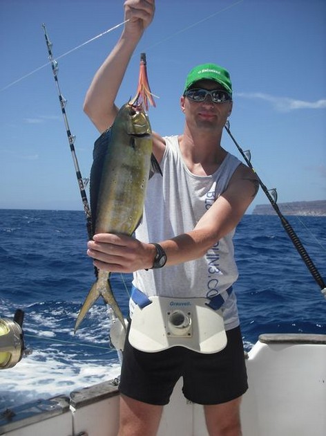 dorado Cavalier & Blue Marlin Sport Fishing Gran Canaria