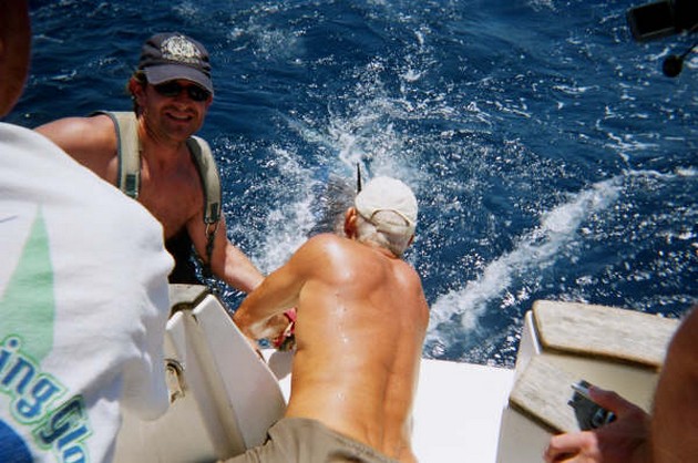 blue marlin Cavalier & Blue Marlin Sport Fishing Gran Canaria