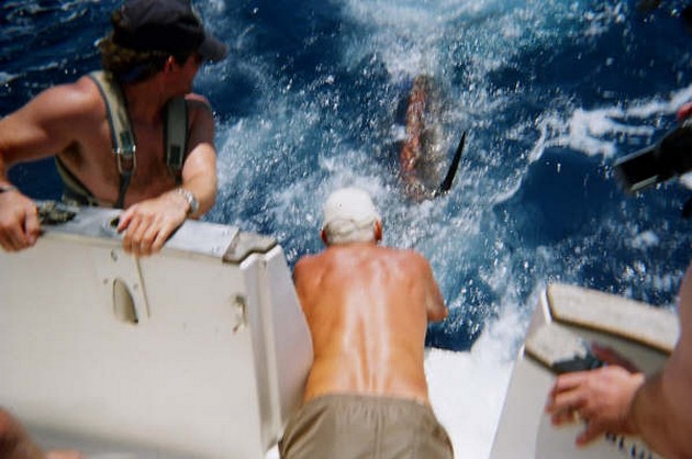 FORTSAT NUMMER 1 I slutet av den andra fiskedagen den - Cavalier & Blue Marlin Sport Fishing Gran Canaria