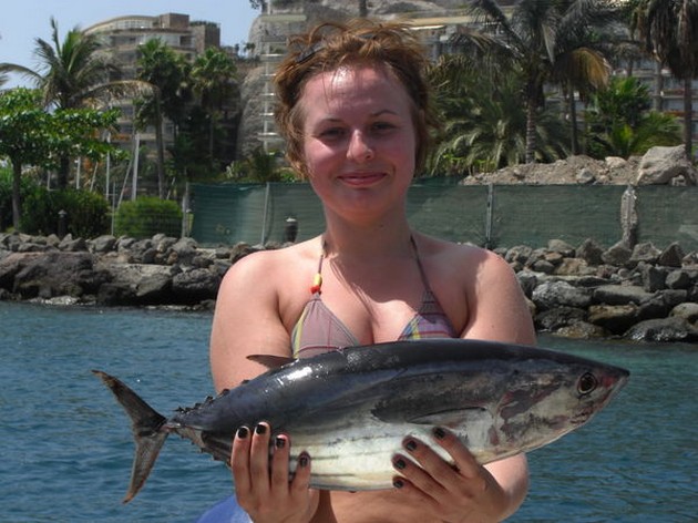 02/09 skipjack tuna Cavalier & Blue Marlin Sport Fishing Gran Canaria