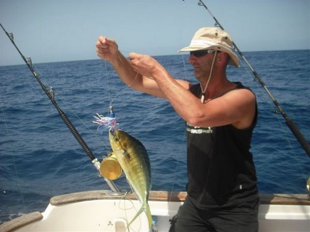 03/09 dorado Cavalier & Blue Marlin Sport Fishing Gran Canaria