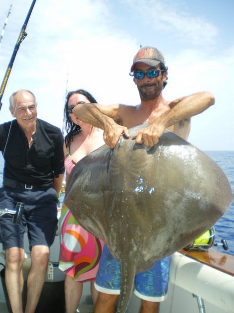 common stingray Cavalier & Blue Marlin Sport Fishing Gran Canaria