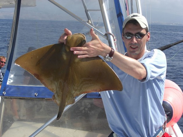 eagle ray Cavalier & Blue Marlin Sport Fishing Gran Canaria