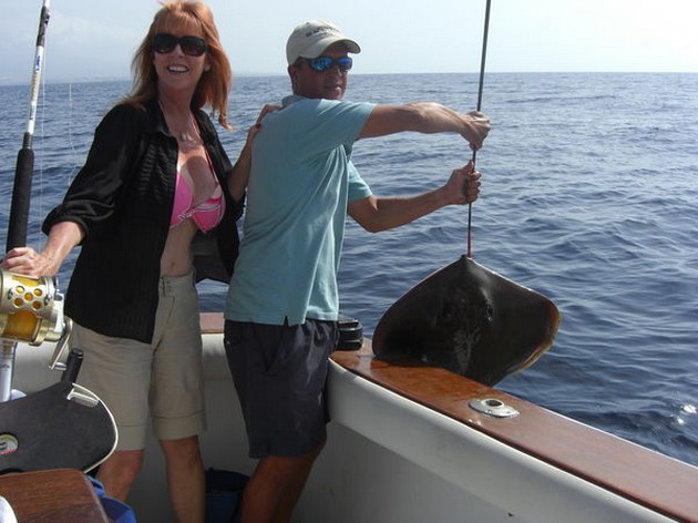 common stingray Cavalier & Blue Marlin Sport Fishing Gran Canaria