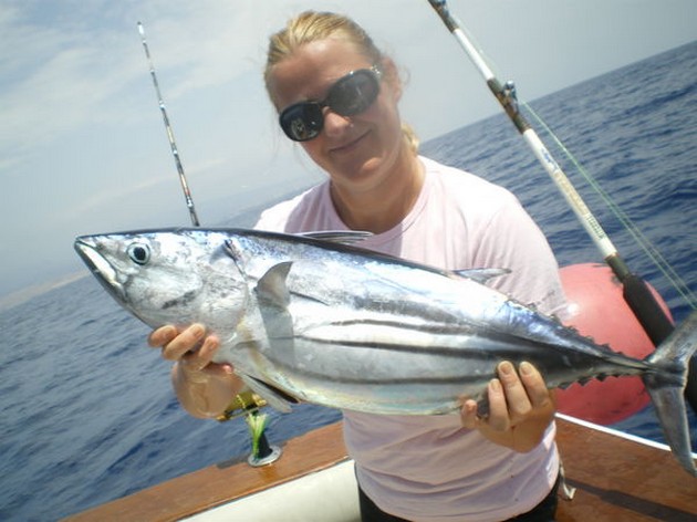 skipjack tuna Cavalier & Blue Marlin Sport Fishing Gran Canaria