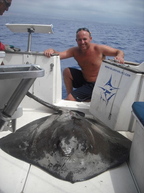 10/10 common stingray Cavalier & Blue Marlin Sport Fishing Gran Canaria