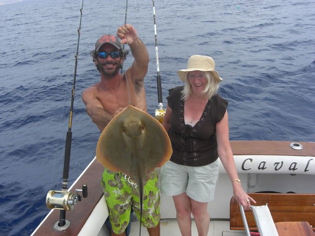 common stingray Cavalier & Blue Marlin Sport Fishing Gran Canaria