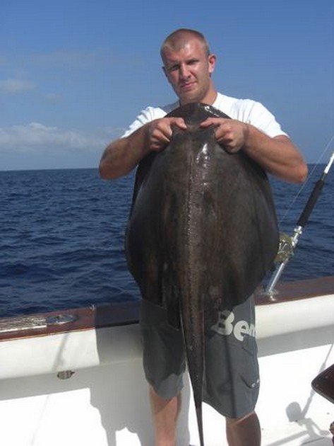 roughtail stingray Cavalier & Blue Marlin Sport Fishing Gran Canaria