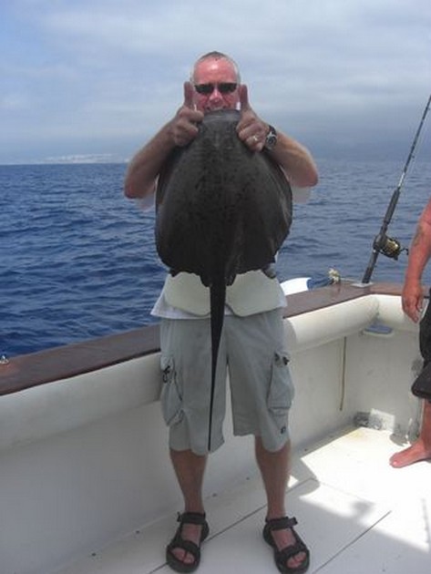 roughtail stingray Cavalier & Blue Marlin Sport Fishing Gran Canaria