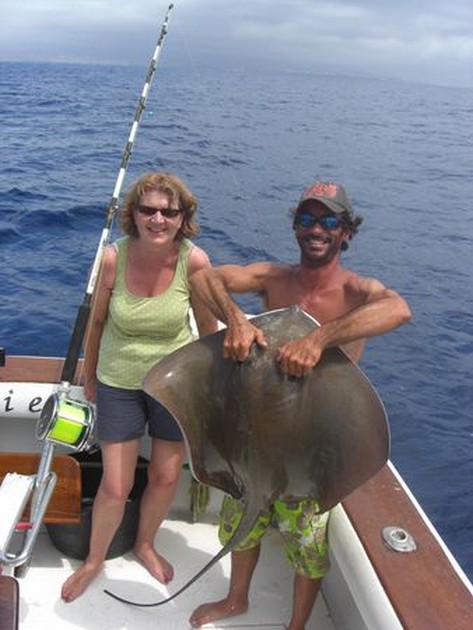 common stingray Cavalier & Blue Marlin Sport Fishing Gran Canaria