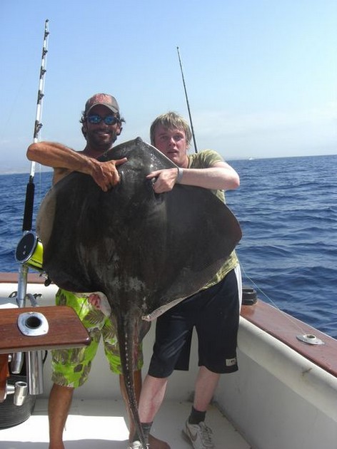 11/09 roughtail stingray Cavalier & Blue Marlin Sport Fishing Gran Canaria