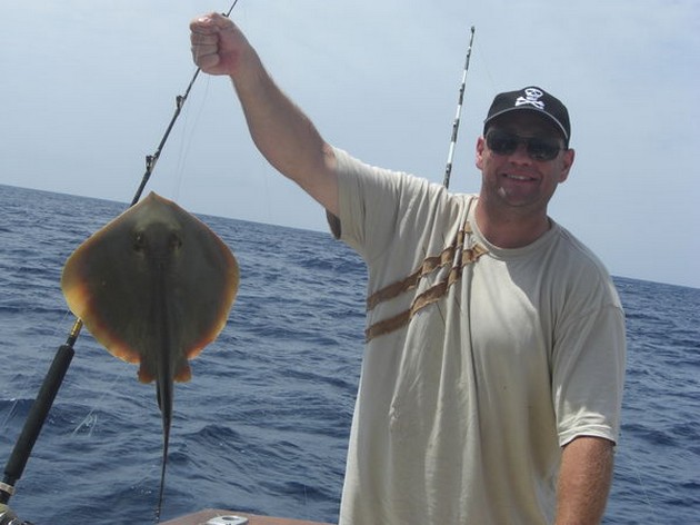 common stingray Cavalier & Blue Marlin Sport Fishing Gran Canaria
