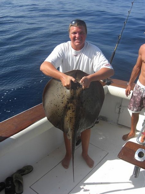roughtail stingray Cavalier & Blue Marlin Sport Fishing Gran Canaria