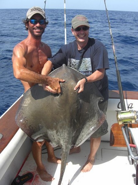 common stingray Cavalier & Blue Marlin Sport Fishing Gran Canaria