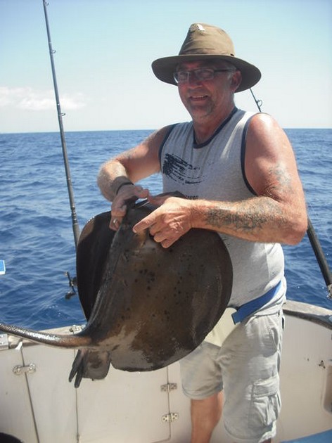 roughtail stingray Cavalier & Blue Marlin Sport Fishing Gran Canaria