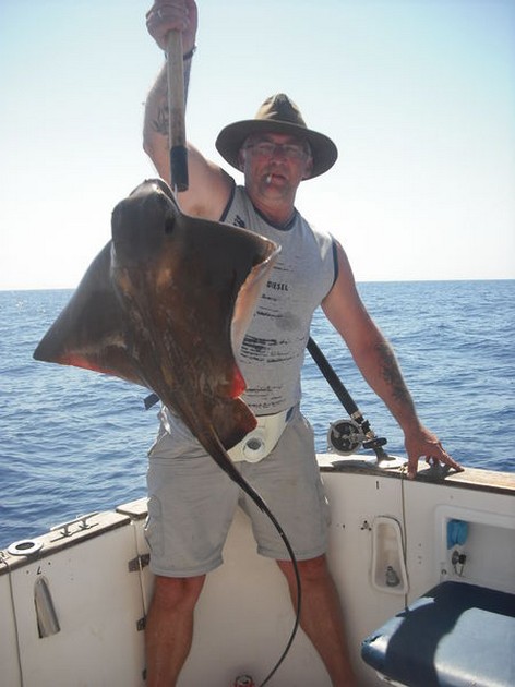 14/09 eagle ray Cavalier & Blue Marlin Sport Fishing Gran Canaria