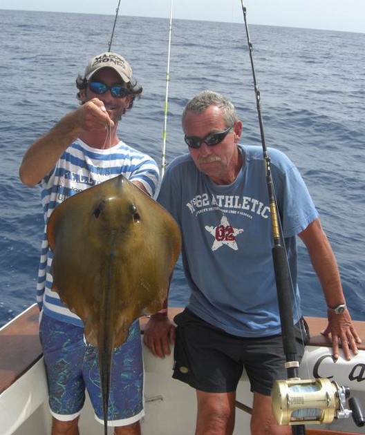 common stingray Cavalier & Blue Marlin Sport Fishing Gran Canaria