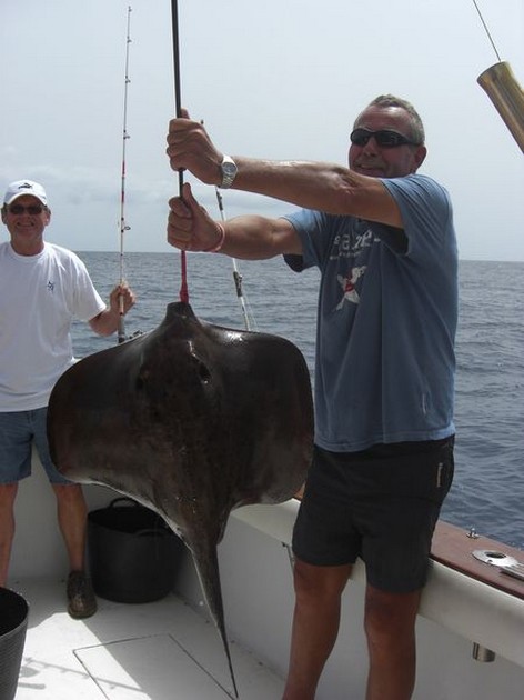 roughtail stingray Cavalier & Blue Marlin Sport Fishing Gran Canaria