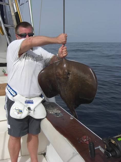 roughtail stingray Cavalier & Blue Marlin Sport Fishing Gran Canaria