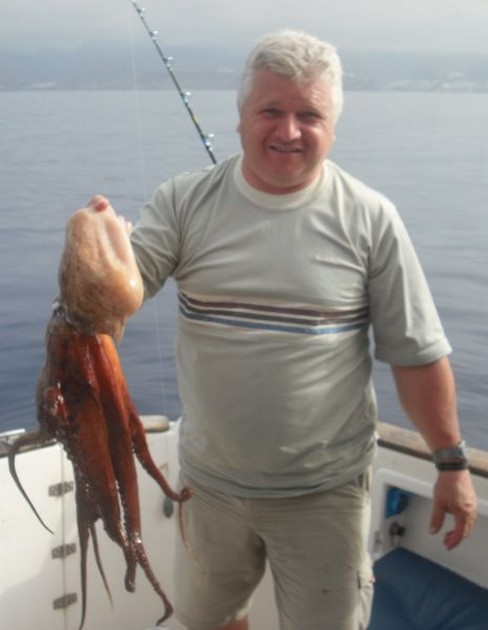 octopus Cavalier & Blue Marlin Sport Fishing Gran Canaria