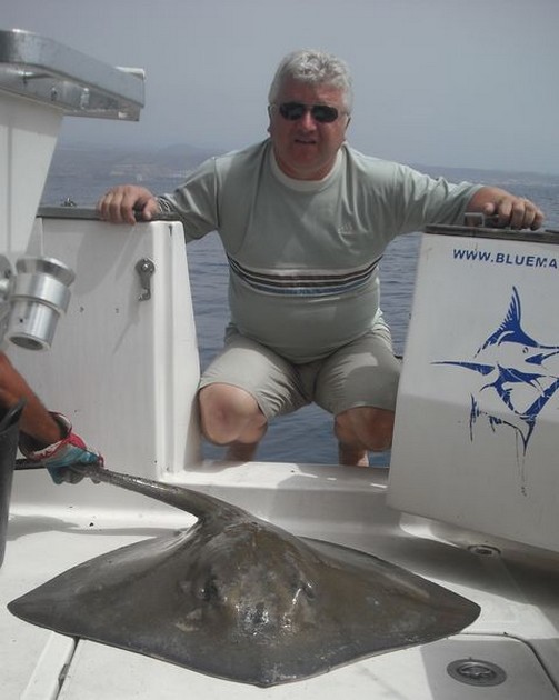 common stingray Cavalier & Blue Marlin Sport Fishing Gran Canaria