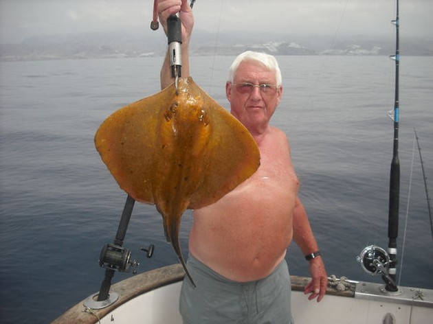 common stingray Cavalier & Blue Marlin Sport Fishing Gran Canaria